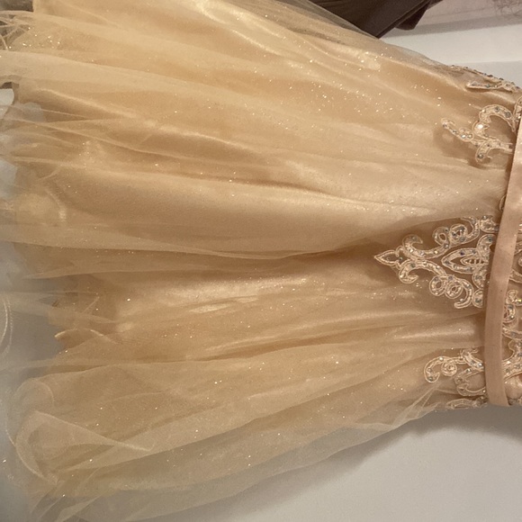 Short beautiful dress for events. (Quince,wedding,homecoming,prom.ETC) - Picture 3 of 8